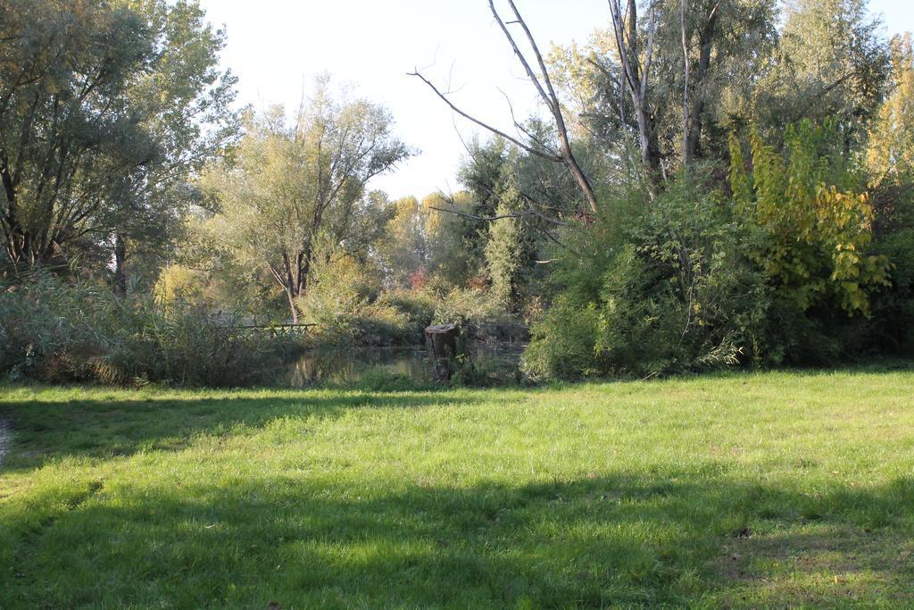Viale